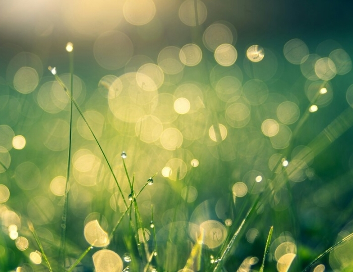 Легкое дыхание - Санаторий «Долина Нарзанов» РЖД-Здоровье Железноводск