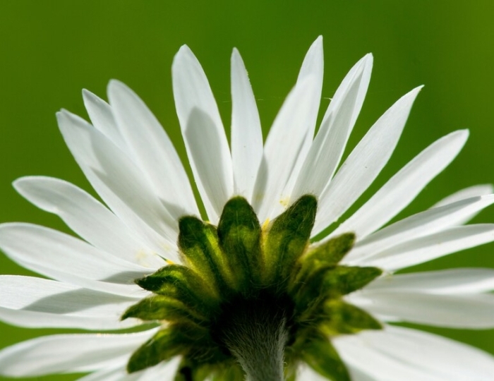 Оздоровительная - Санаторий «Долина Нарзанов» РЖД-Здоровье Железноводск