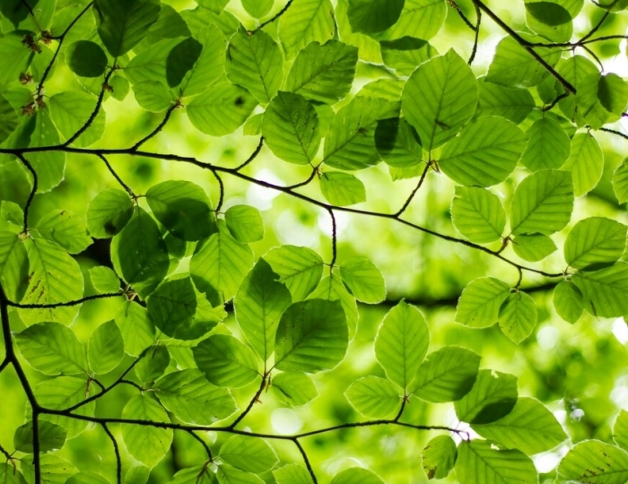 Заболевания почек и мочевыводящих путей - Санаторий «Долина Нарзанов» РЖД-Здоровье Железноводск