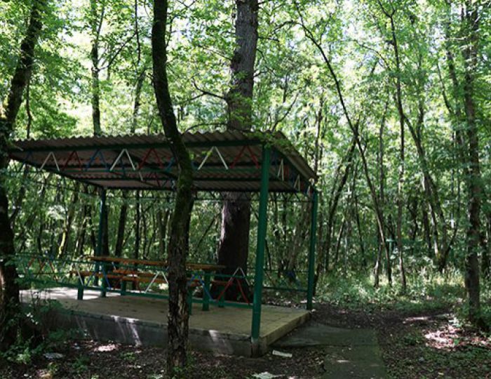 Беседки - Санаторий «Долина Нарзанов» РЖД-Здоровье Железноводск