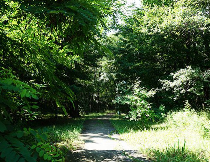ЛФК и терренкур - Санаторий «Долина Нарзанов» РЖД-Здоровье Железноводск ЛФК и терренкур - Санаторий «Долина Нарзанов» РЖД-Здоровье Железноводск