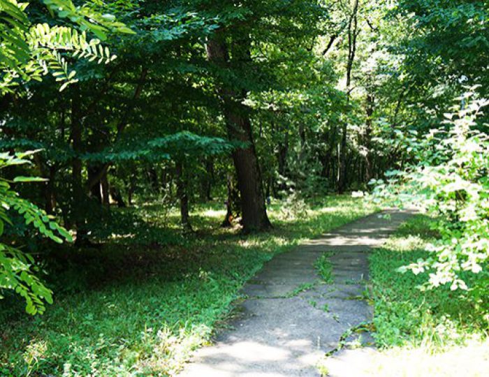 ЛФК и терренкур - Санаторий «Долина Нарзанов» РЖД-Здоровье Железноводск ЛФК и терренкур - Санаторий «Долина Нарзанов» РЖД-Здоровье Железноводск