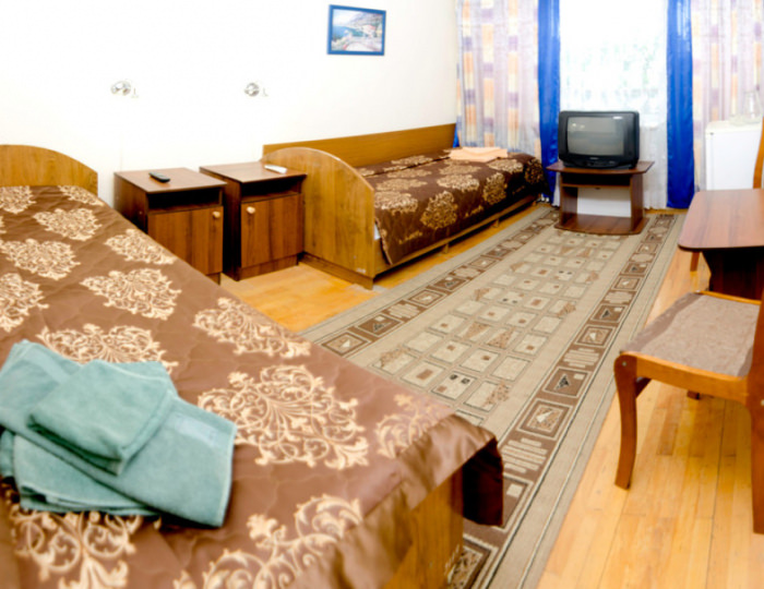 Эконом TWIN - Санаторий «Долина Нарзанов» РЖД-Здоровье Железноводск