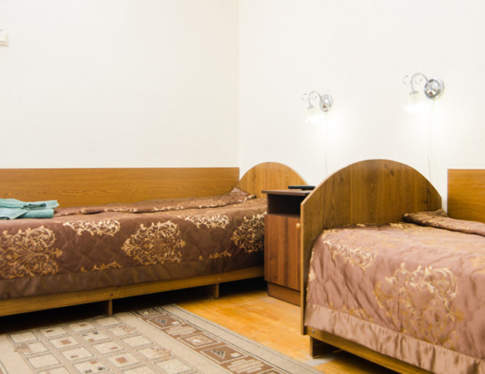 Эконом TWIN - Санаторий «Долина Нарзанов» РЖД-Здоровье Железноводск