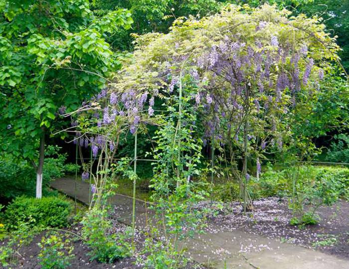 Контакты - Санаторий «Долина Нарзанов» РЖД-Здоровье Железноводск Контакты - Санаторий «Долина Нарзанов» РЖД-Здоровье Железноводск