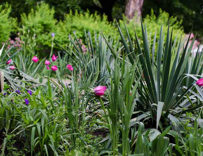 Контакты - Санаторий «Долина Нарзанов» РЖД-Здоровье Железноводск Контакты - Санаторий «Долина Нарзанов» РЖД-Здоровье Железноводск