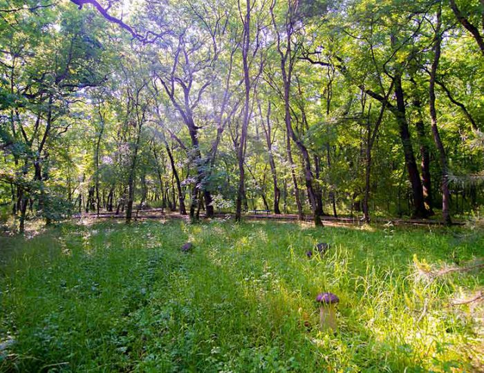 Контакты - Санаторий «Долина Нарзанов» РЖД-Здоровье Железноводск Контакты - Санаторий «Долина Нарзанов» РЖД-Здоровье Железноводск