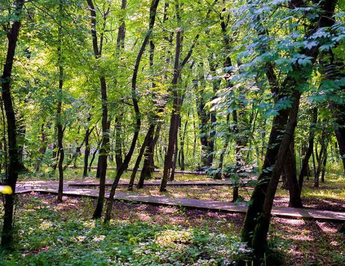 Контакты - Санаторий «Долина Нарзанов» РЖД-Здоровье Железноводск Контакты - Санаторий «Долина Нарзанов» РЖД-Здоровье Железноводск